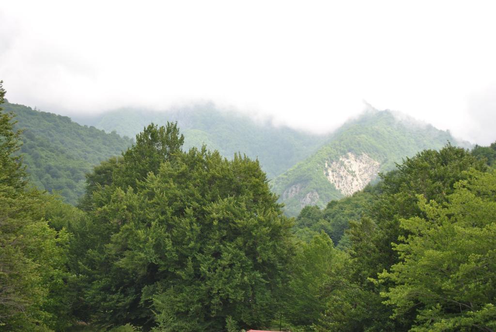 Talistan Forest Park Hotel Екстериор снимка