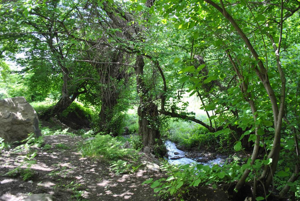 Talistan Forest Park Hotel Екстериор снимка