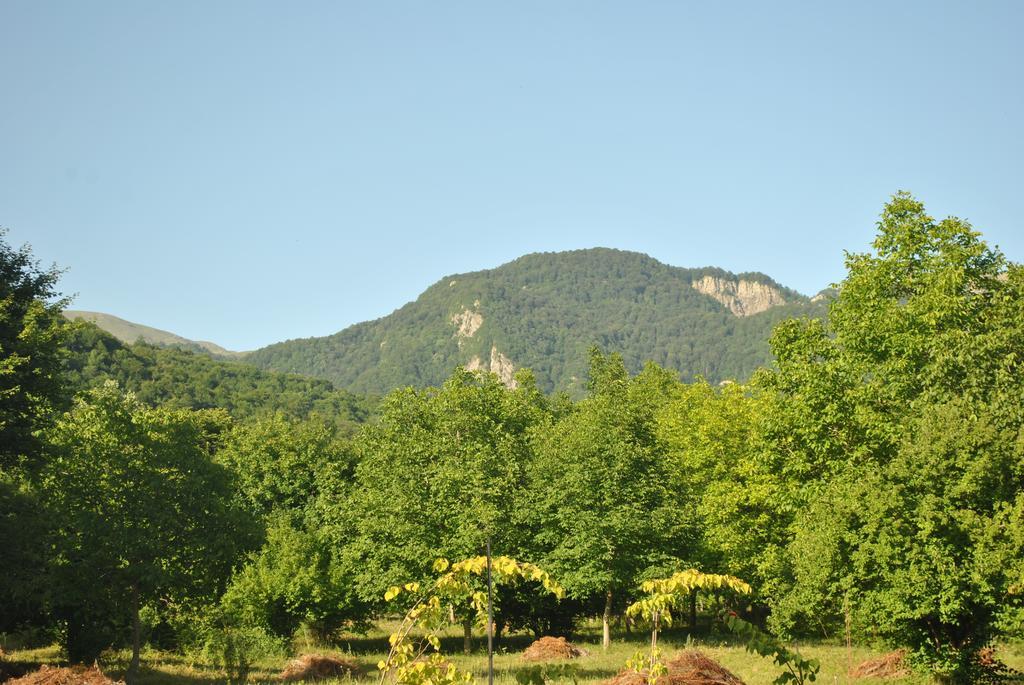 Talistan Forest Park Hotel Екстериор снимка
