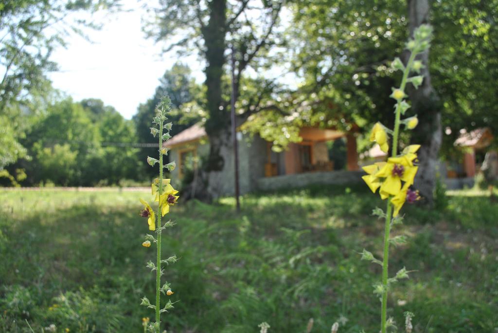 Talistan Forest Park Hotel Екстериор снимка