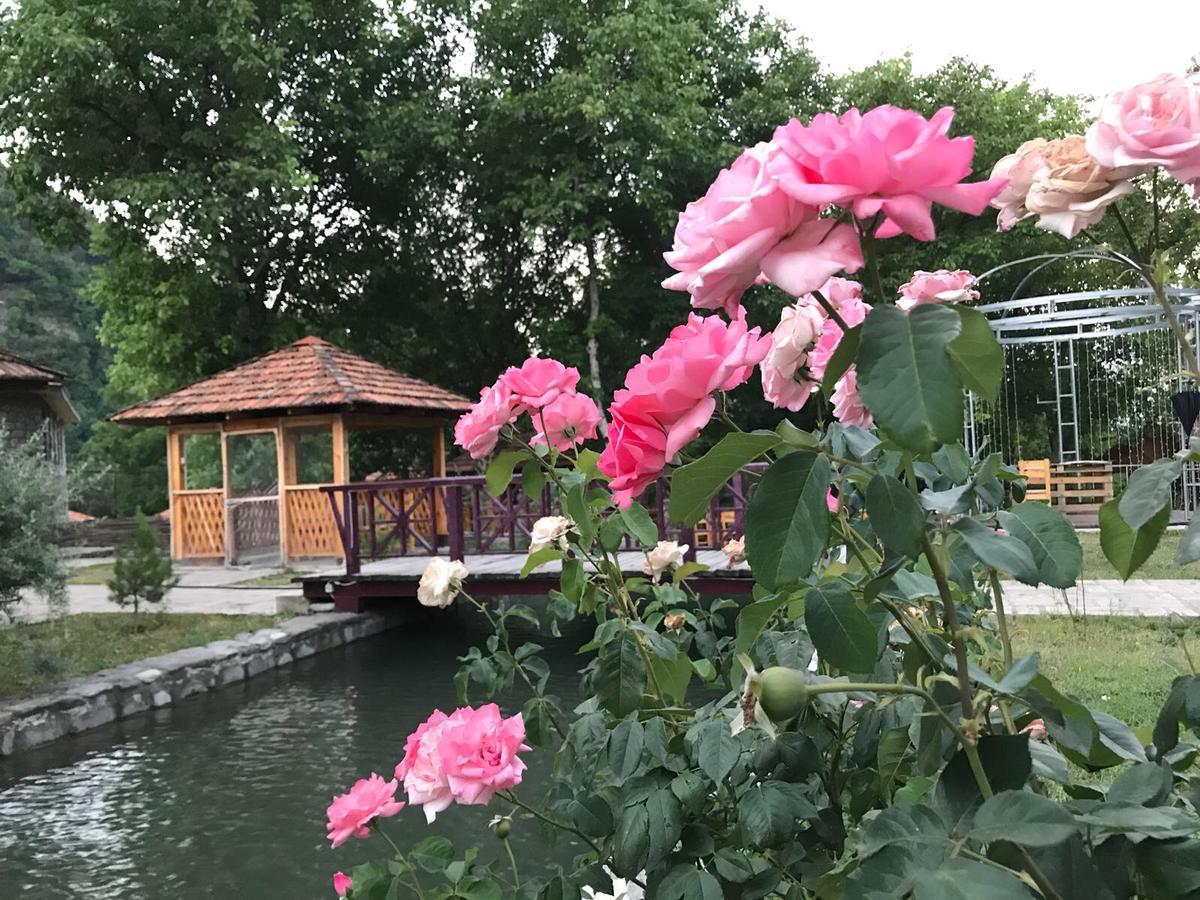 Talistan Forest Park Hotel Екстериор снимка